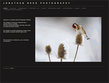 Tablet Screenshot of jneedphotography.com